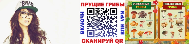 Галлюциногенные грибы GOLDEN TEACHER Куса